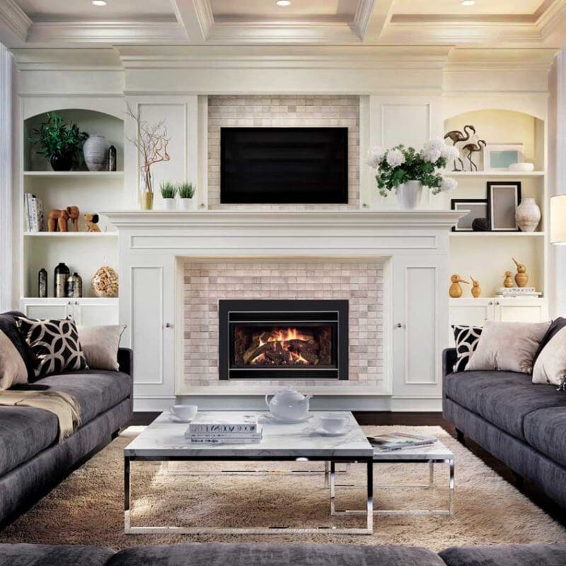 Mendota D Series gas inserts - Sutter Home & Hearth